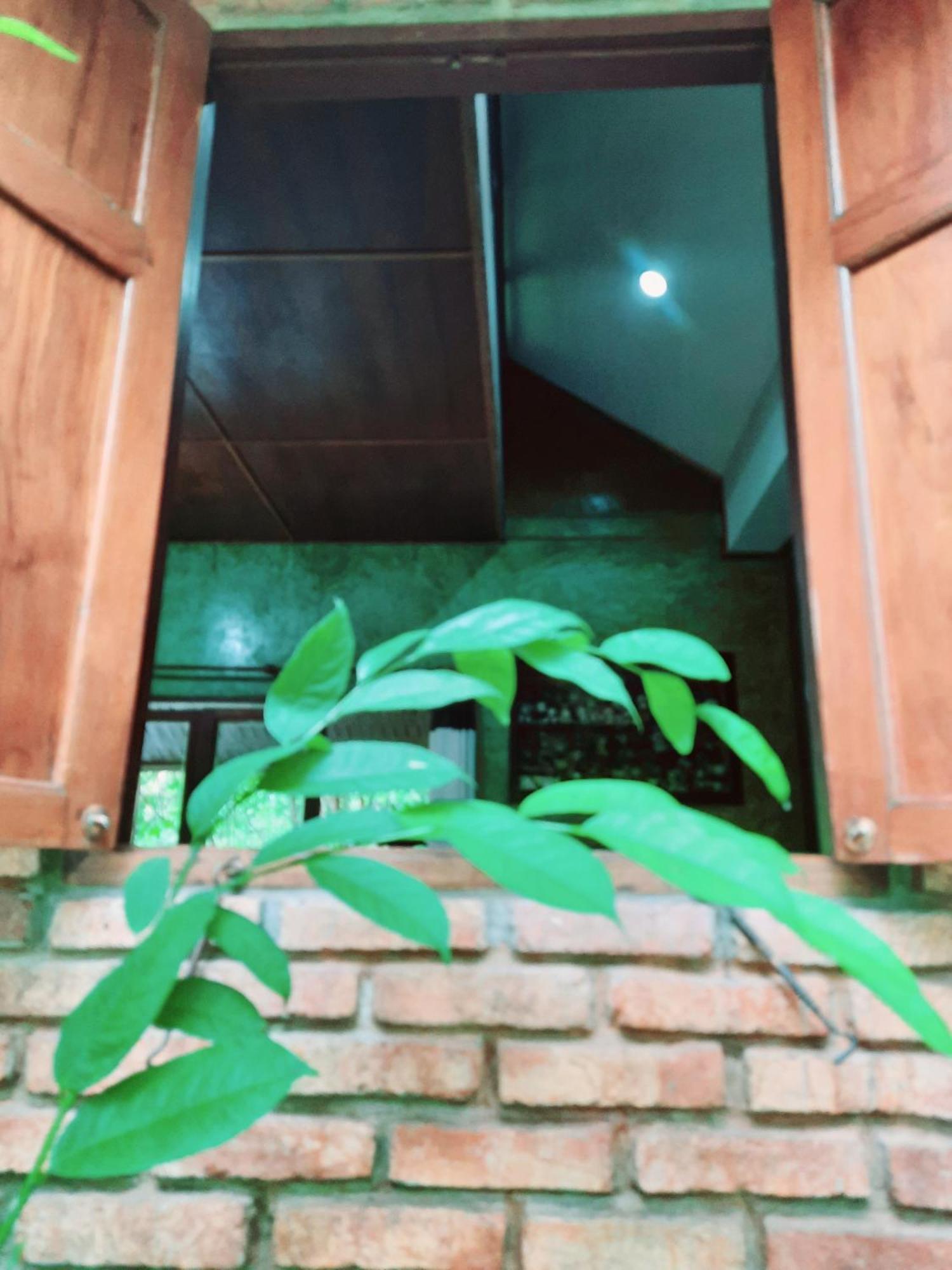 Tuaprodhome Khao Lak Cameră foto
