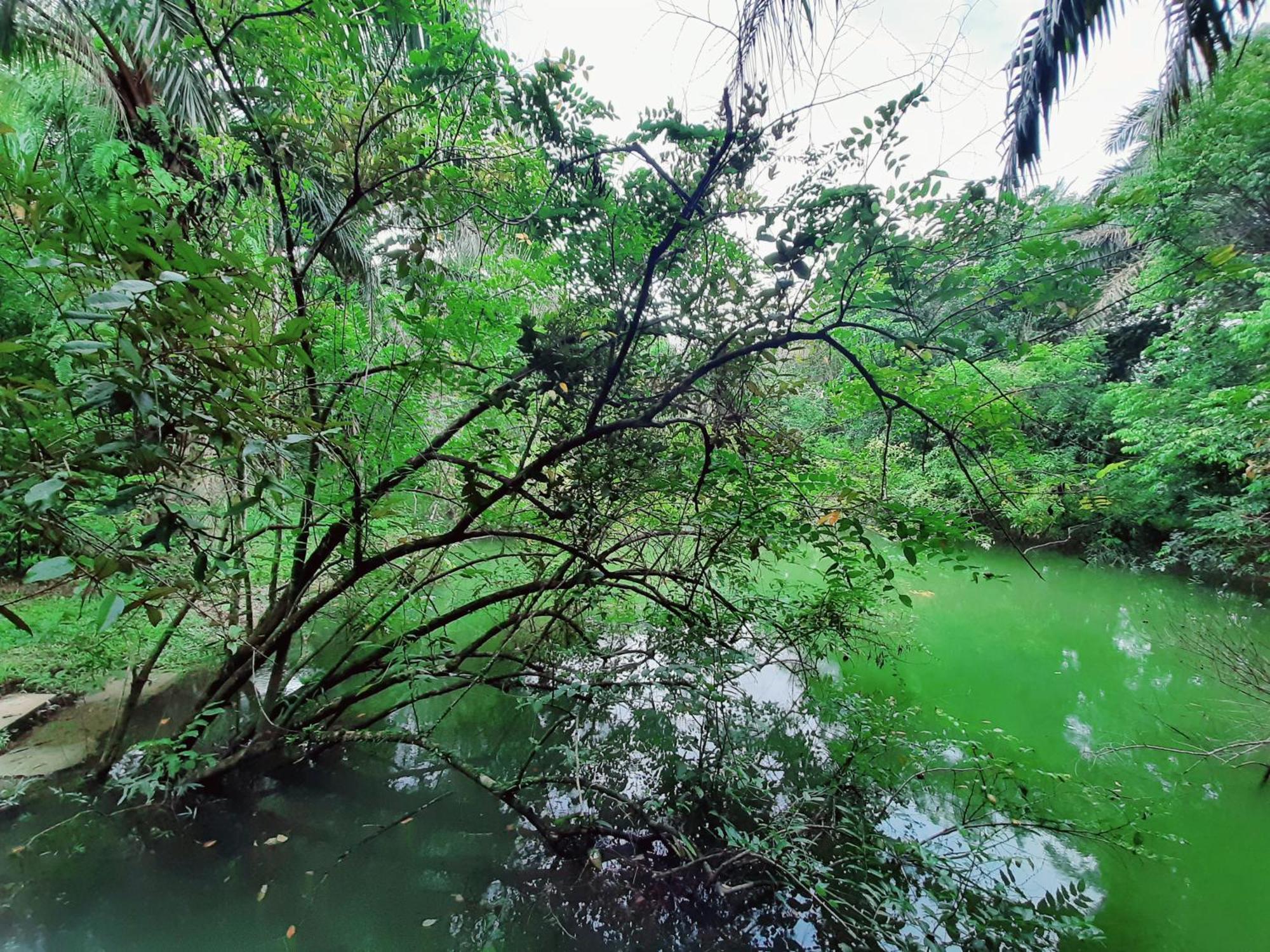 Tuaprodhome Khao Lak Cameră foto