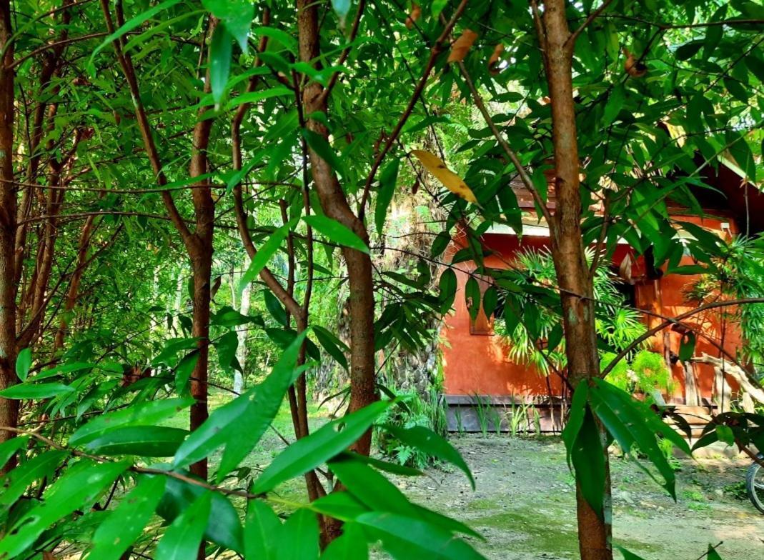 Tuaprodhome Khao Lak Cameră foto