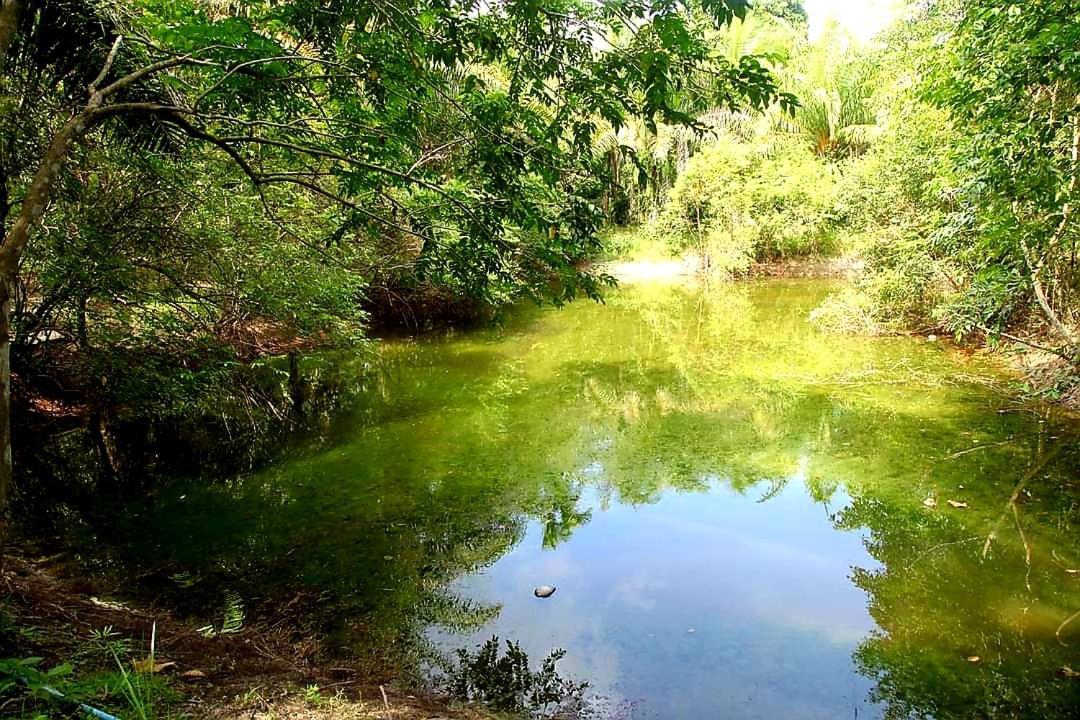 Tuaprodhome Khao Lak Cameră foto