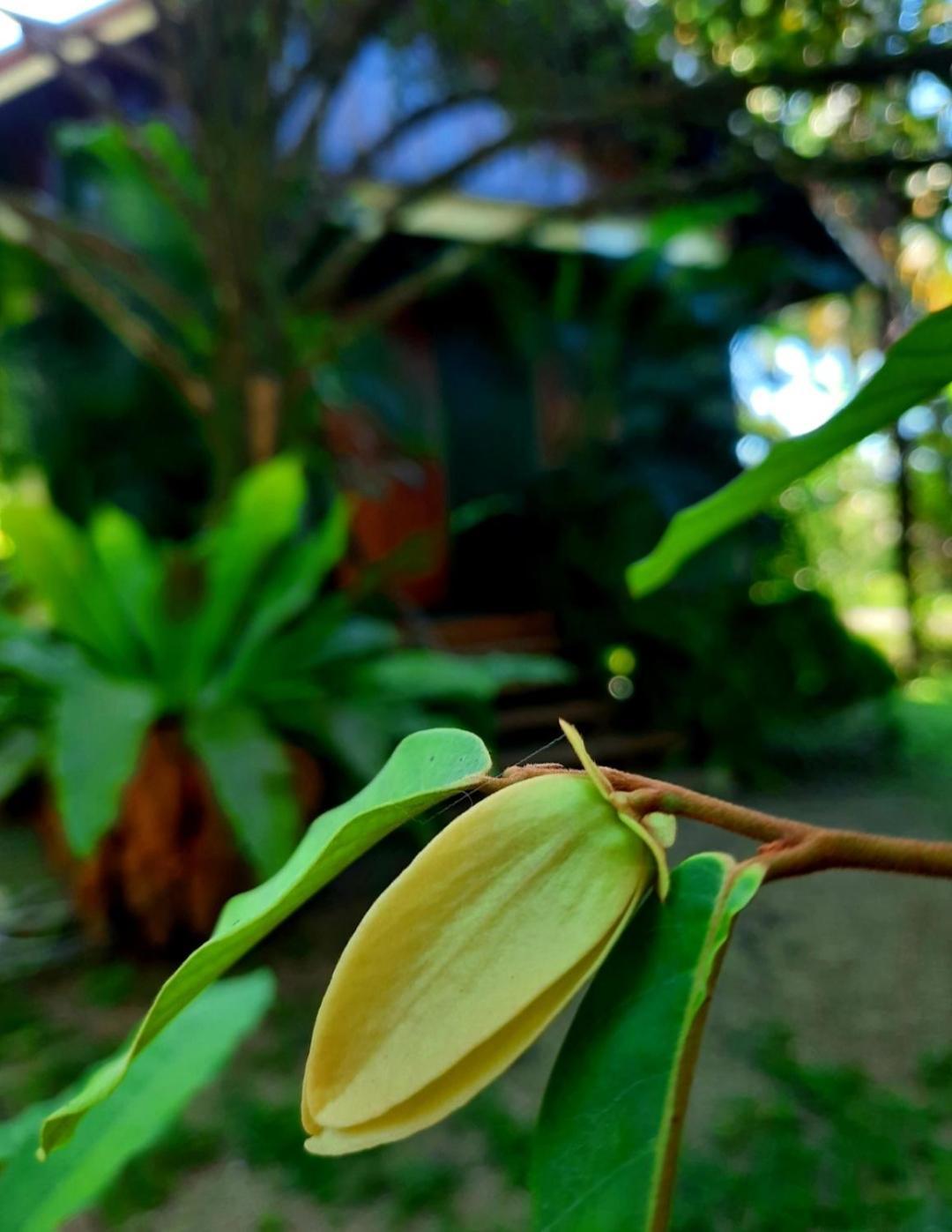 Tuaprodhome Khao Lak Cameră foto