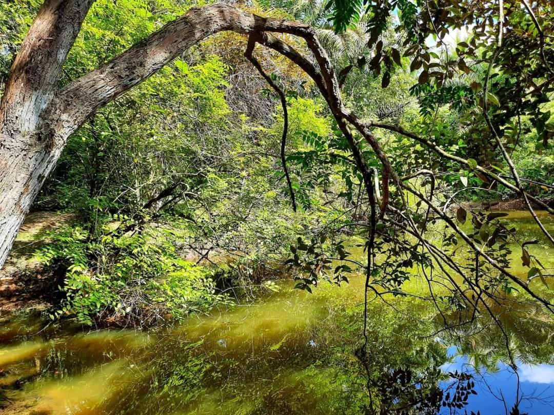 Tuaprodhome Khao Lak Cameră foto