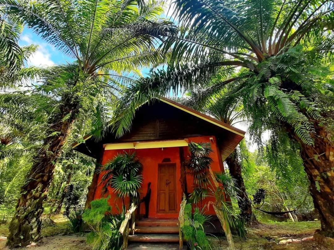 Tuaprodhome Khao Lak Cameră foto