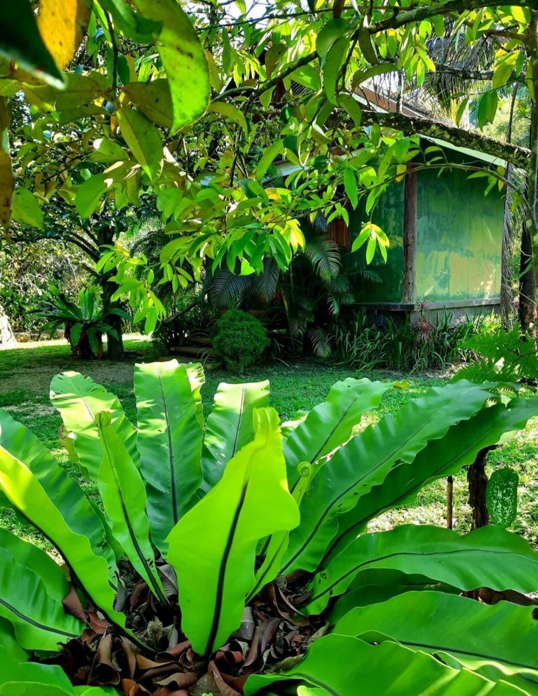 Tuaprodhome Khao Lak Cameră foto