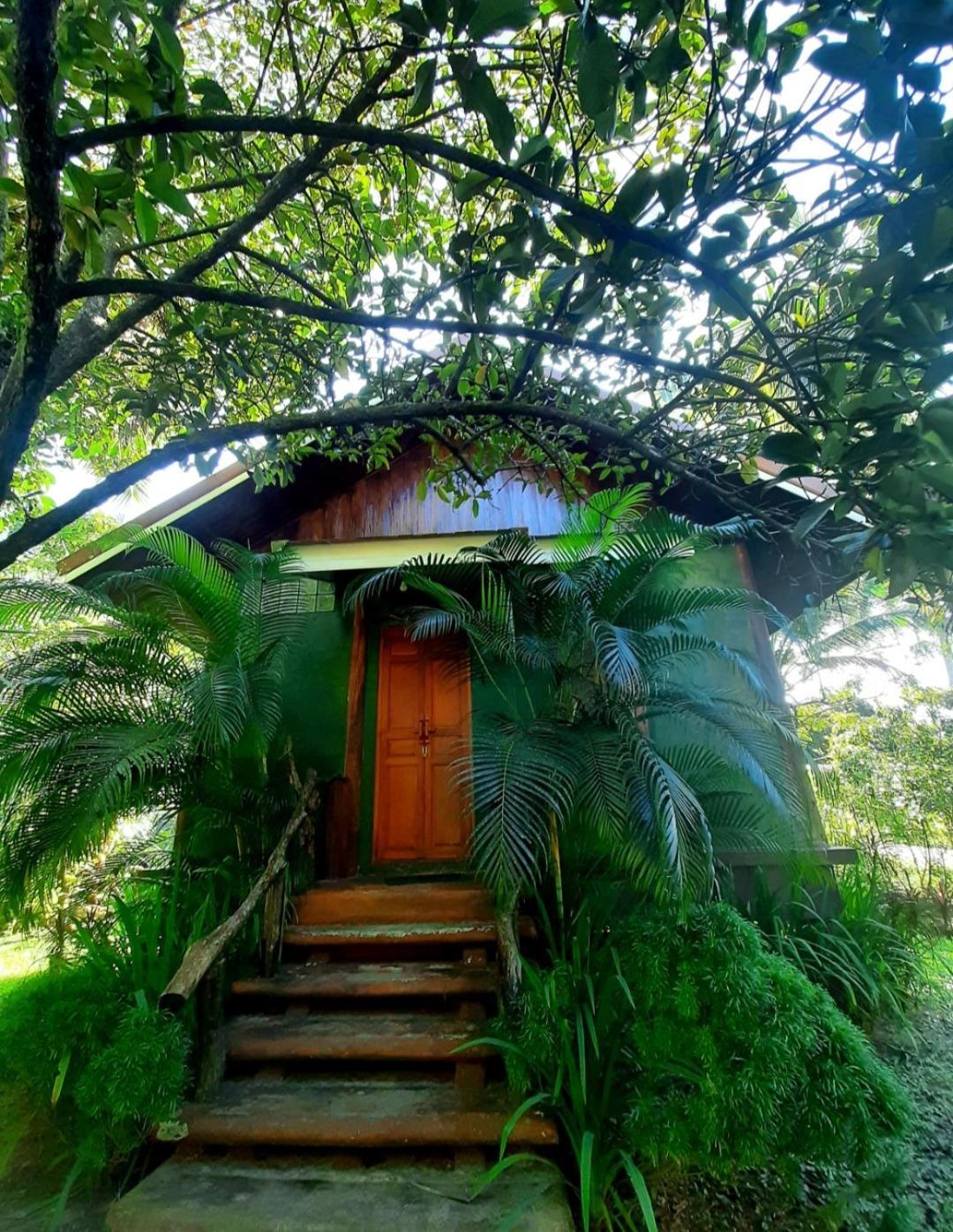 Tuaprodhome Khao Lak Cameră foto